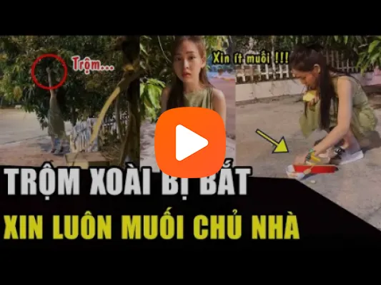 Clip Ký sự chăn máy bay