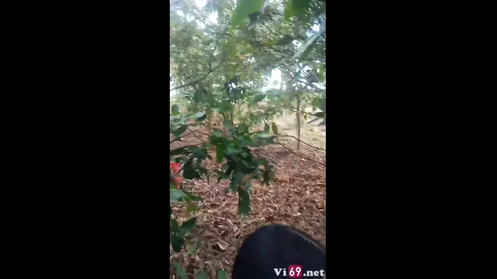 Chị gái giáo viên nhà hàng xóm đưa ra sau vườn nhà khám phá để hòa mình với thiên nhiên