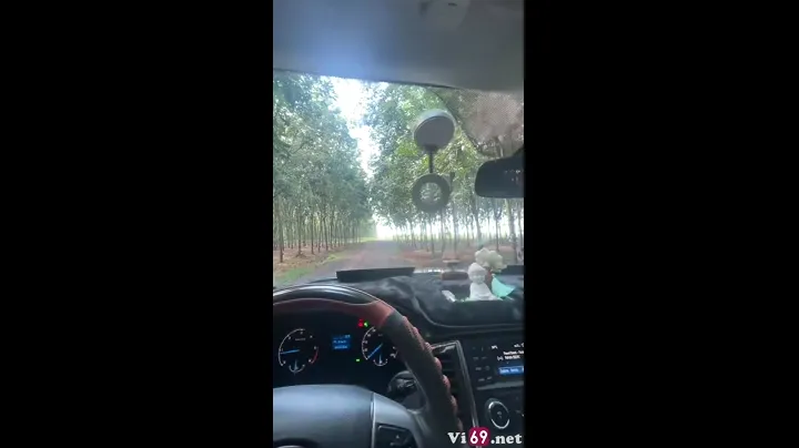 Bất ngờ anh chàng dừng xe ở vườn cao su